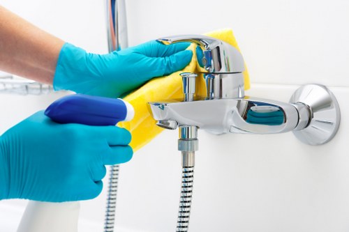Professional pet odour removal for carpets and upholstery in Selsdon
