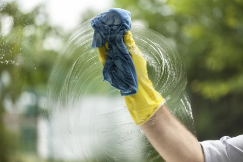 Payment and invoice details for a carpet cleaning service