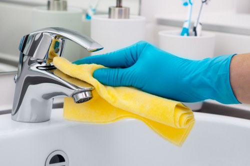Selsdon carpet cleaning specialists assessing carpet condition before treatment