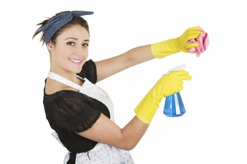 Detailed carpet cleaning process by Selsdon carpet cleaners in a local property