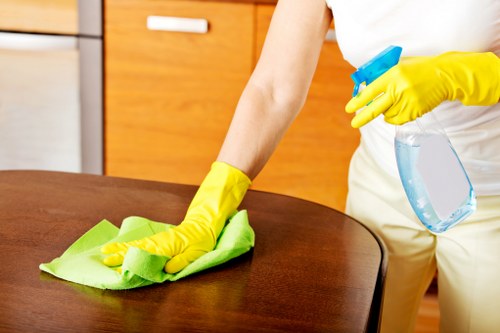 Deep cleaning process for pet urine stain removal in a Selsdon home
